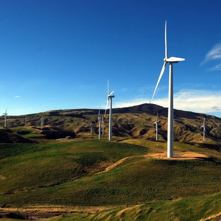 Manawatu Insurance
