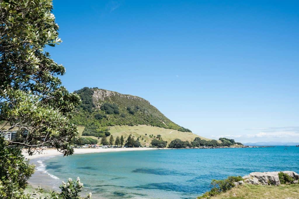 Tauranga Property Managers — Property Managers in Tauranga