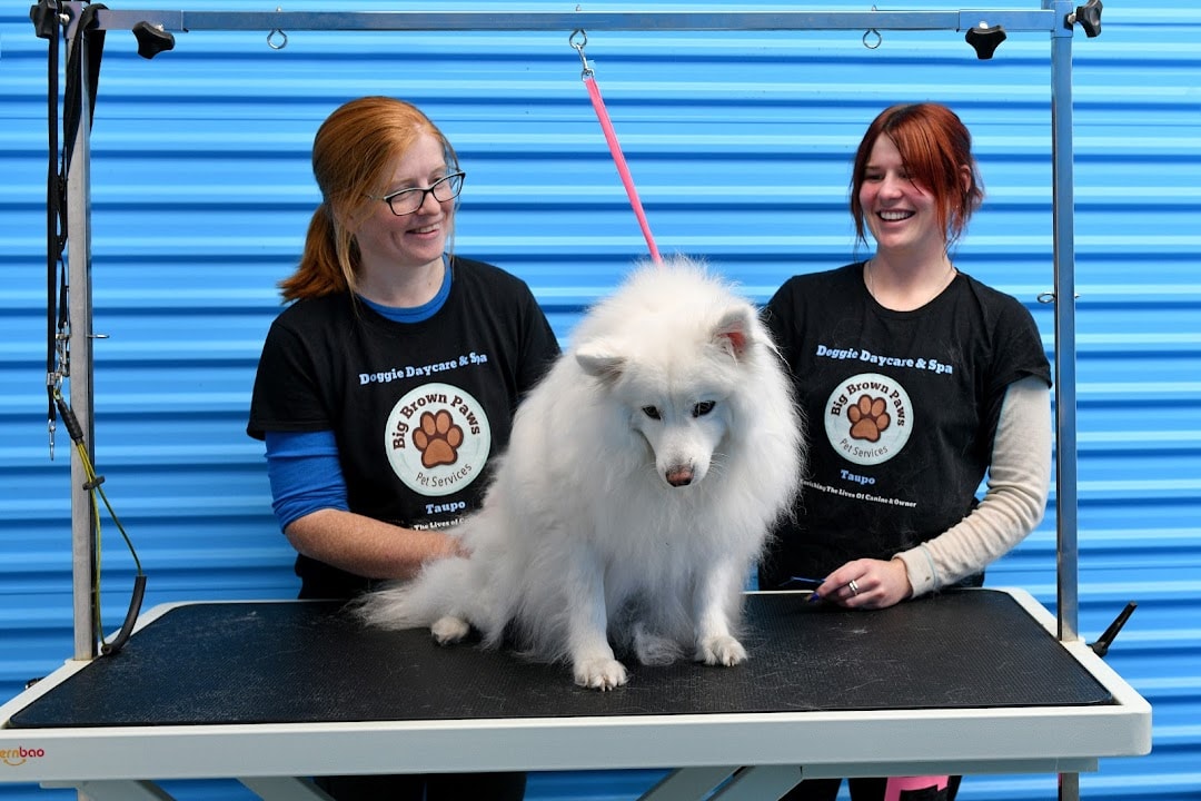 Big Brown Paws Doggie Daycare & Grooming — Pet Care Services in Taupō