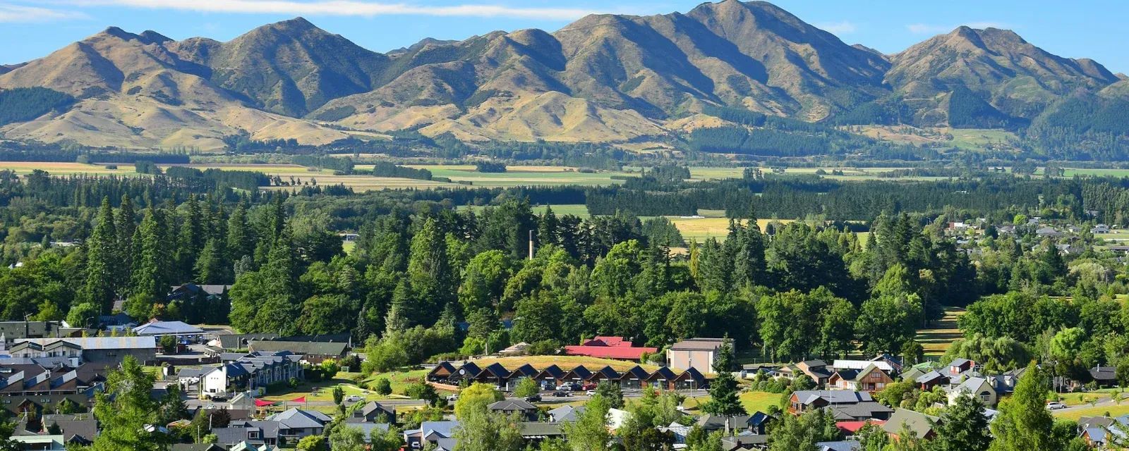 CBRE Rangiora — Real Estate Agents in Rangiora