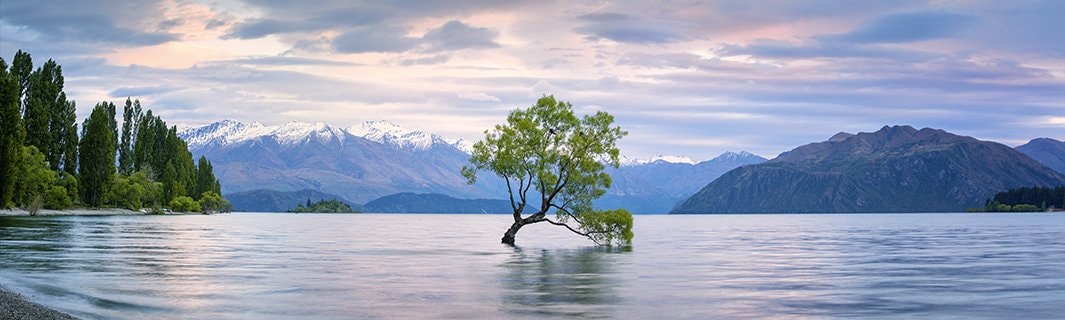 Stella Maris Immigration — Immigration Consultants in Rotorua