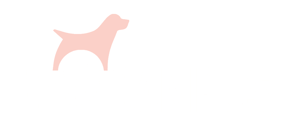 K9 Campus — Childcare Centres in Fernside