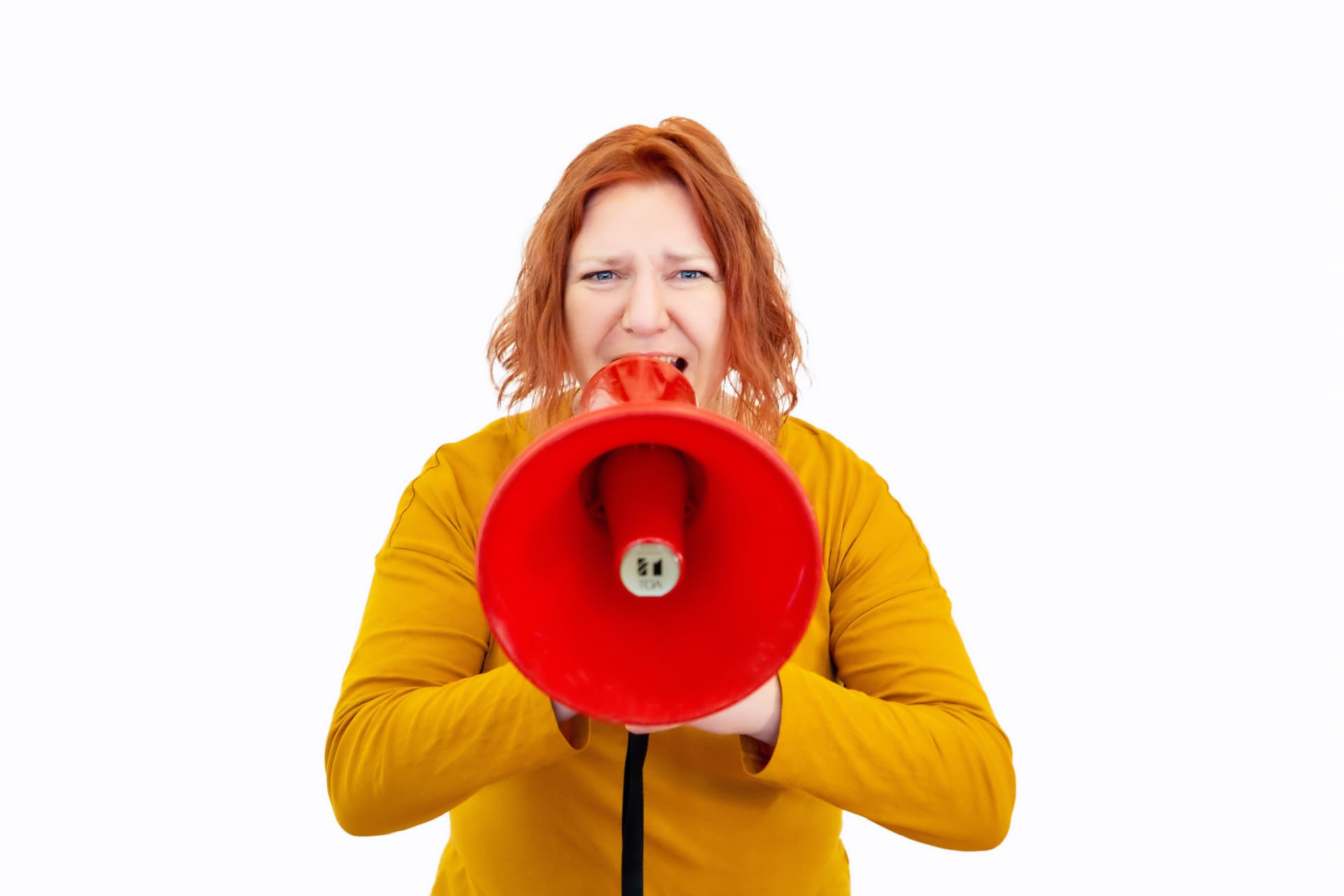 BigWords — Copywriters in Dunedin