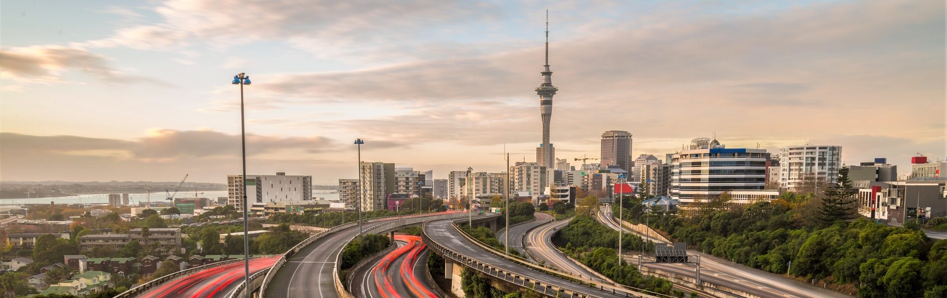 North Harbour Valuers — Real Estate Agents in Devonport