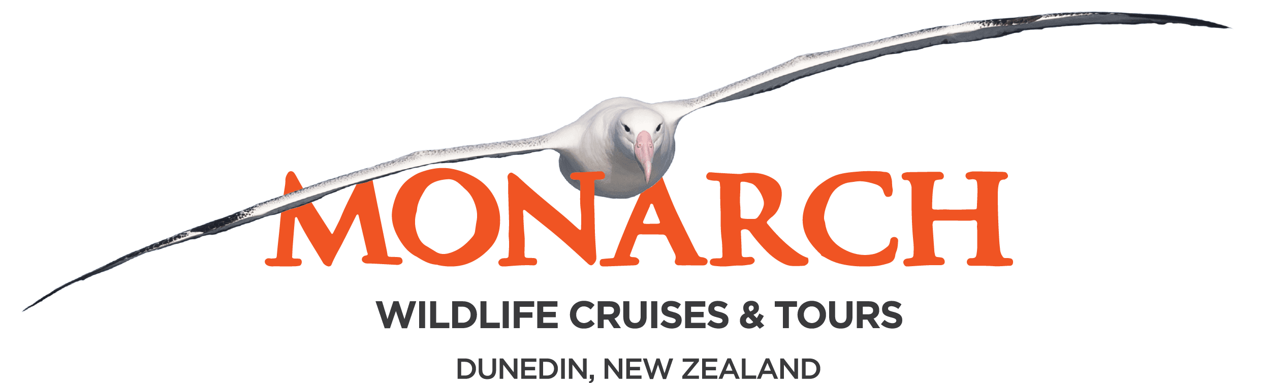 Monarch Wildlife Cruises & Tours