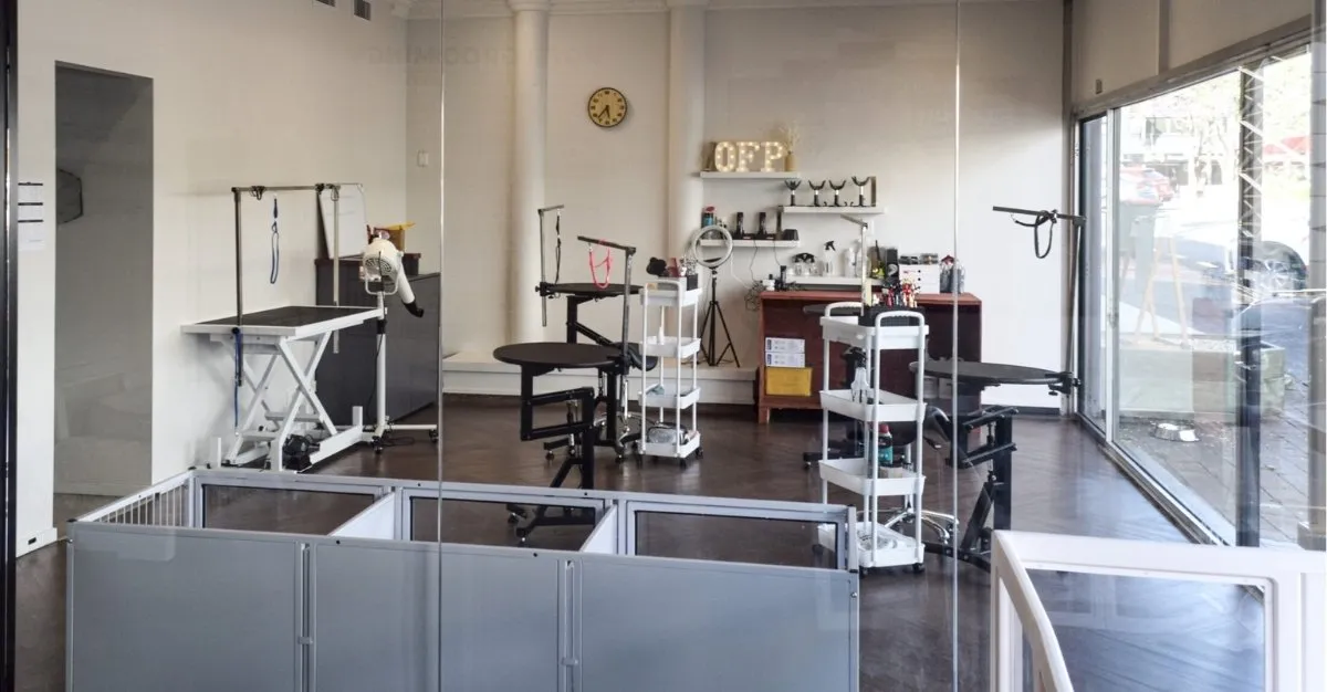 OFP Grooming — Dog Groomers in Auckland