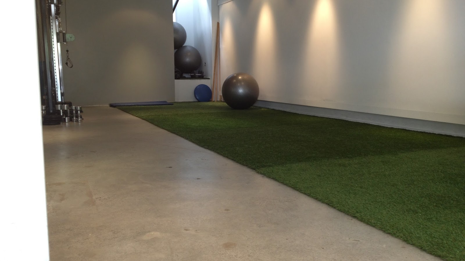 Back in Balance Chiro, Physio and Acupuncture — Chiropractors in Grey Lynn