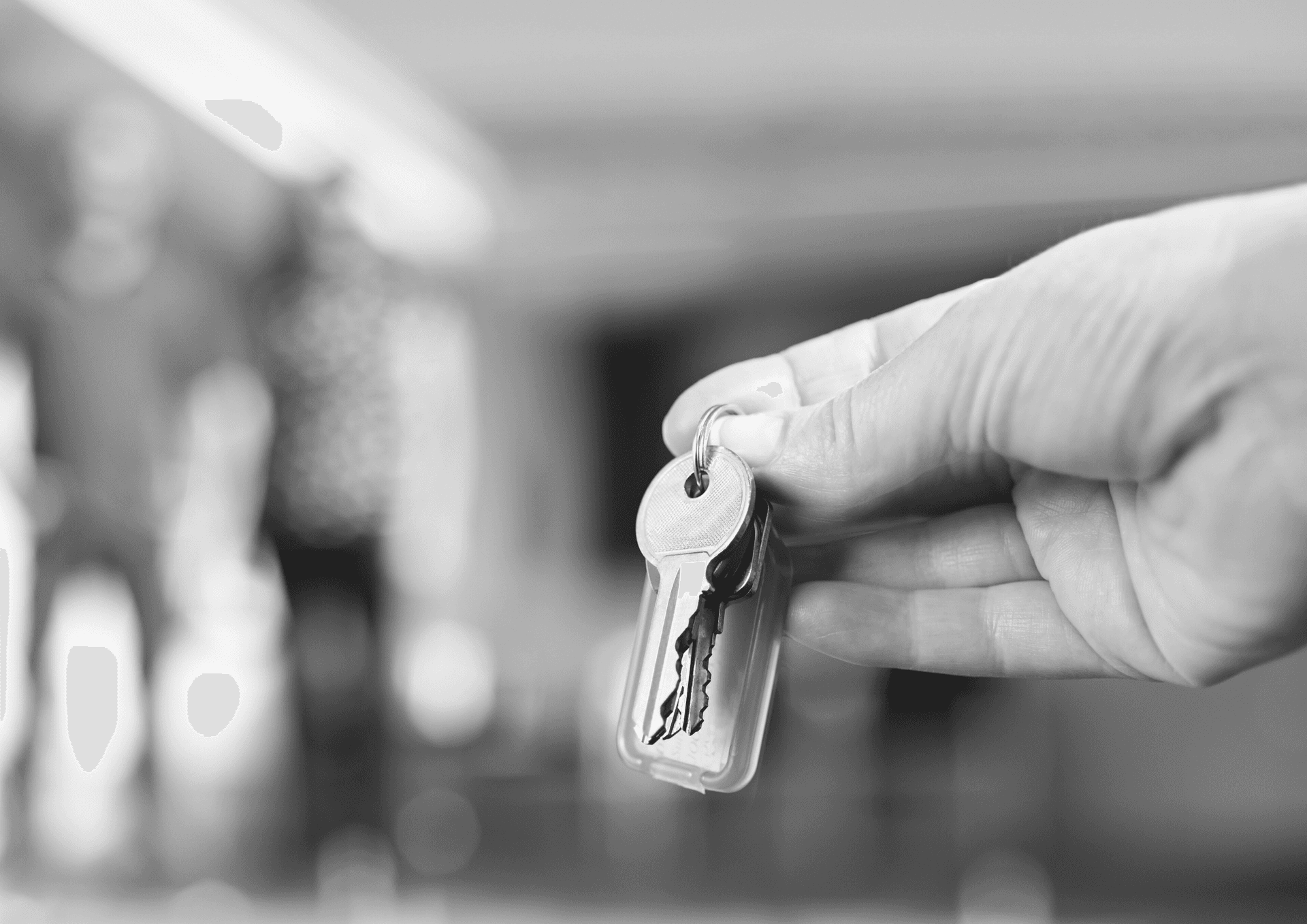 South Property Management — Property Managers in Dunedin