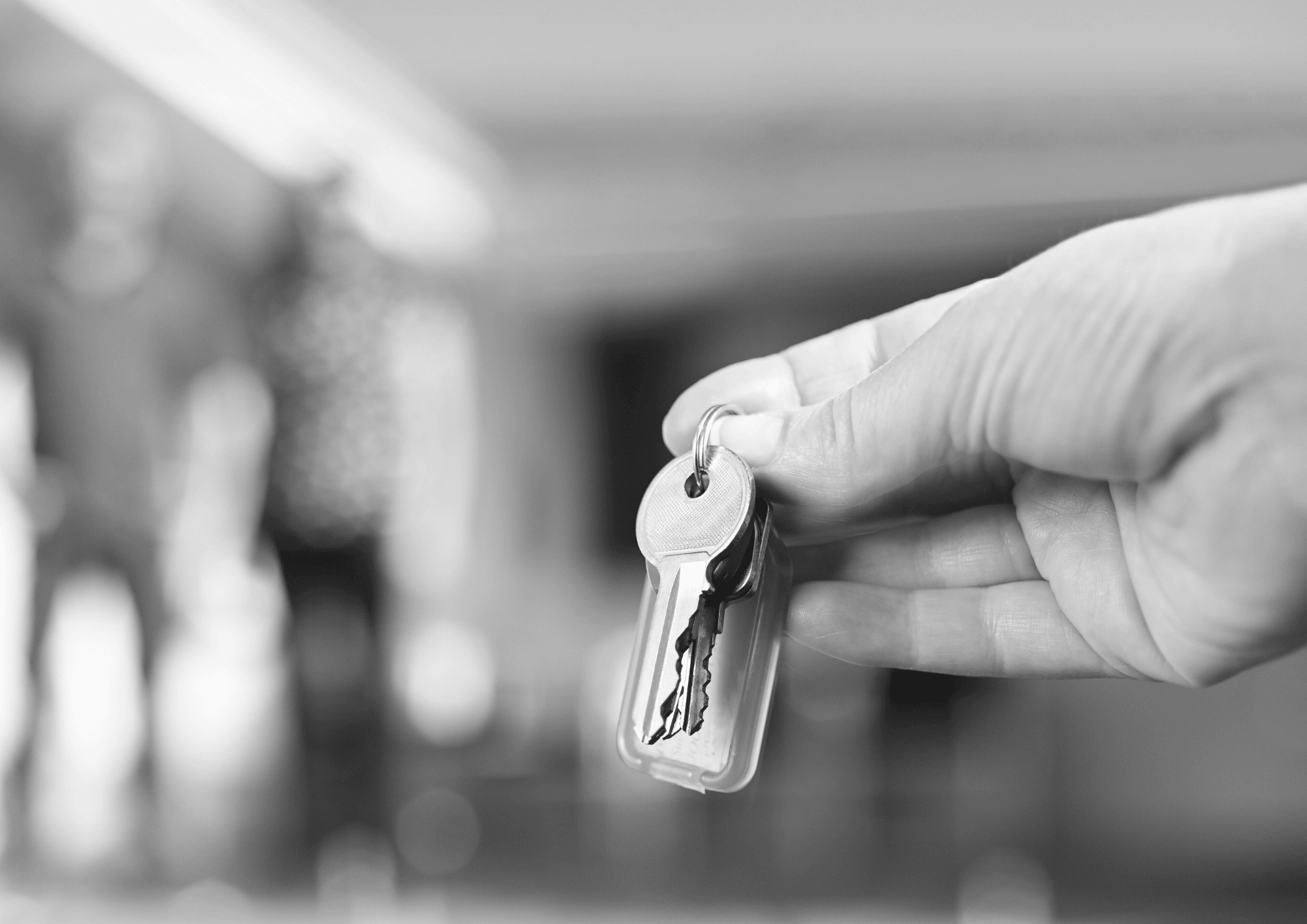 South Property Management — Property Managers in Dunedin