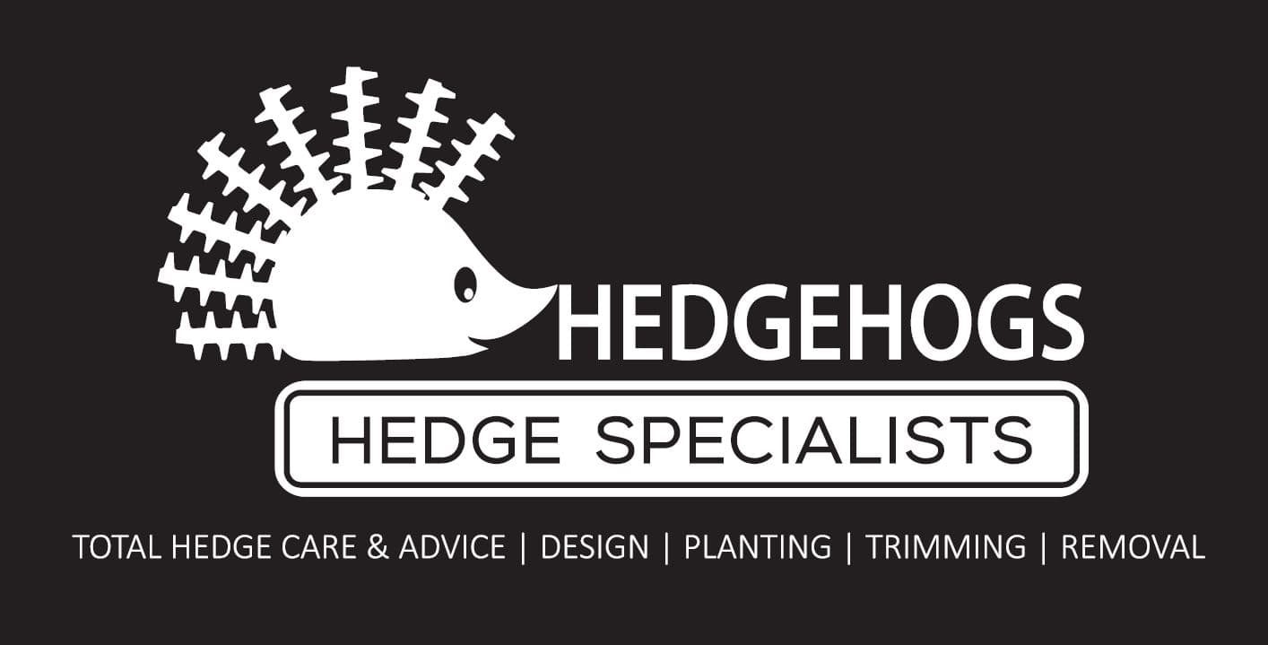 Hedgehogs Hedge Specialists