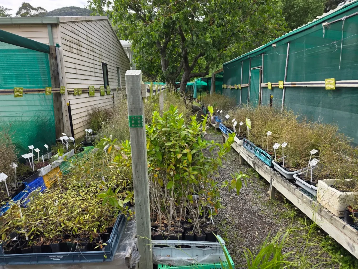Living Streams Community Nursery — Garden Centres in Little River