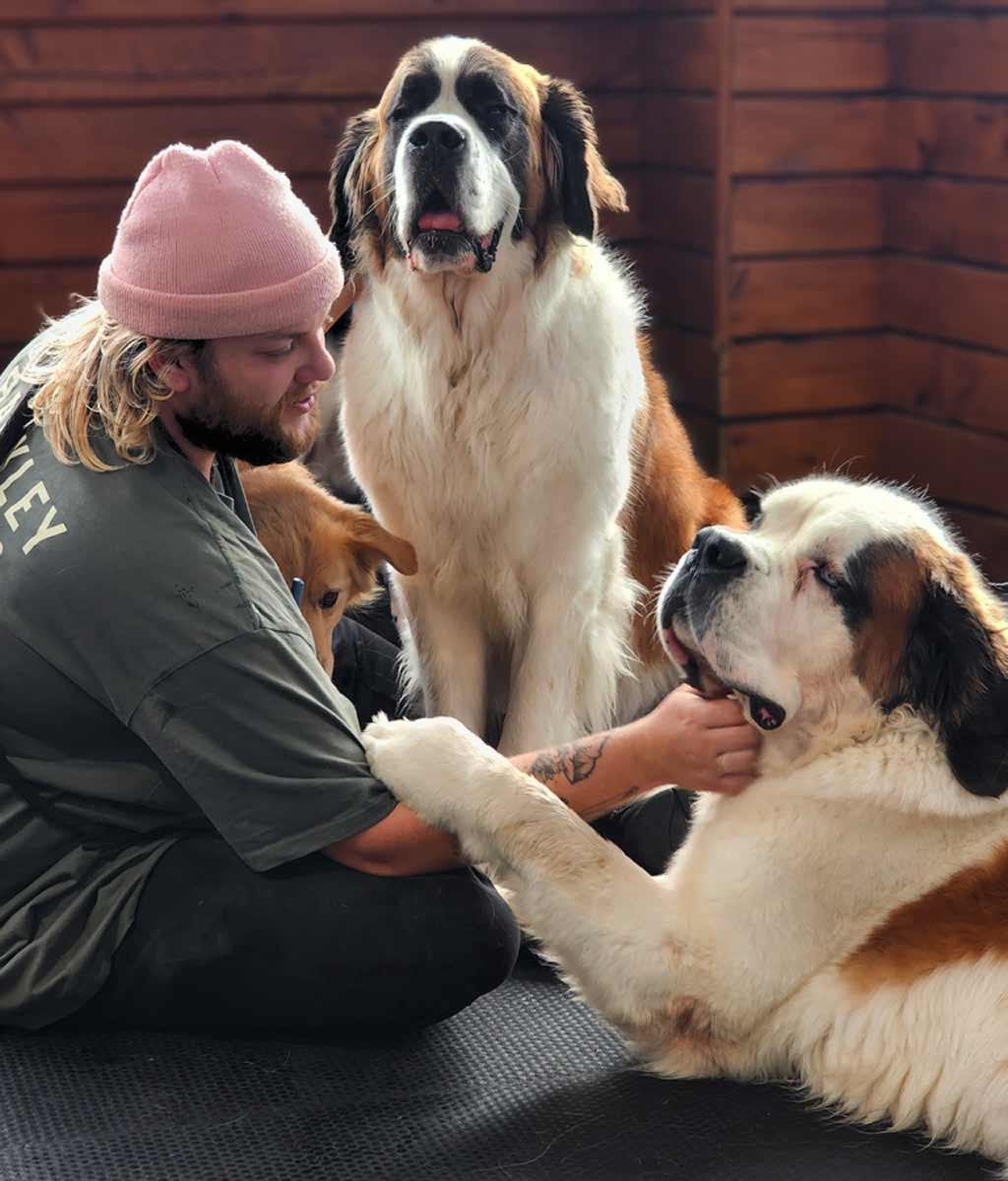 Barkley Manor — Dog Groomers in Auckland