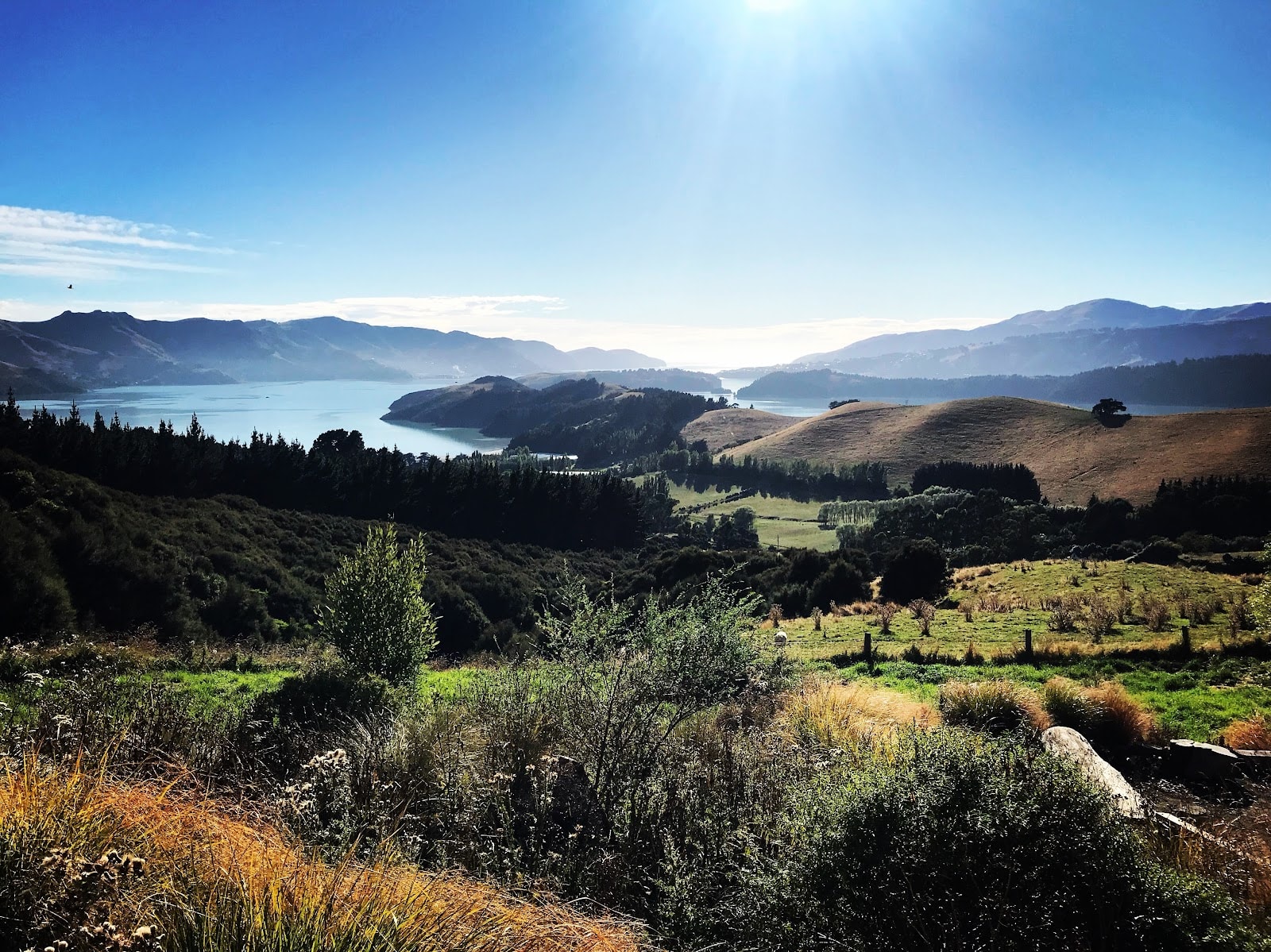 Living Springs — Accommodation in Governors Bay