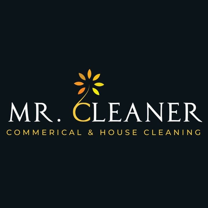 Mr Cleaner