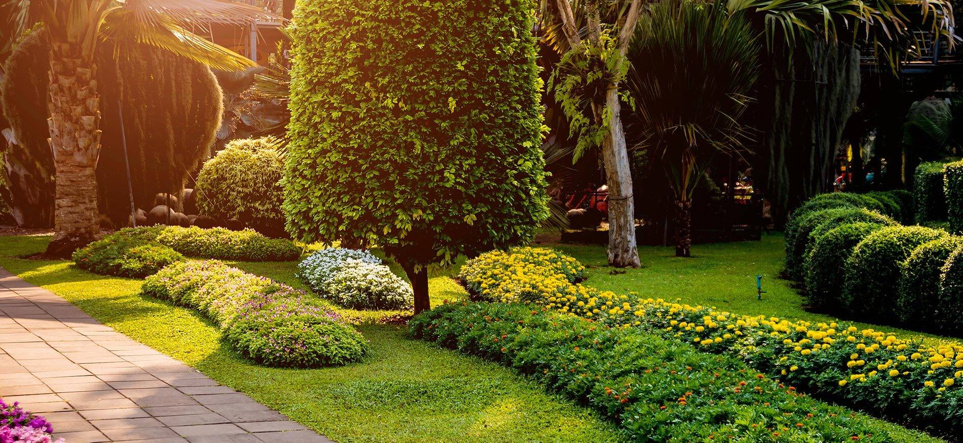 Garden Experts — Landscaping Services in Auckland