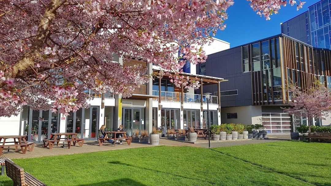 Tussock Bar and Cafe — Café in Wellington