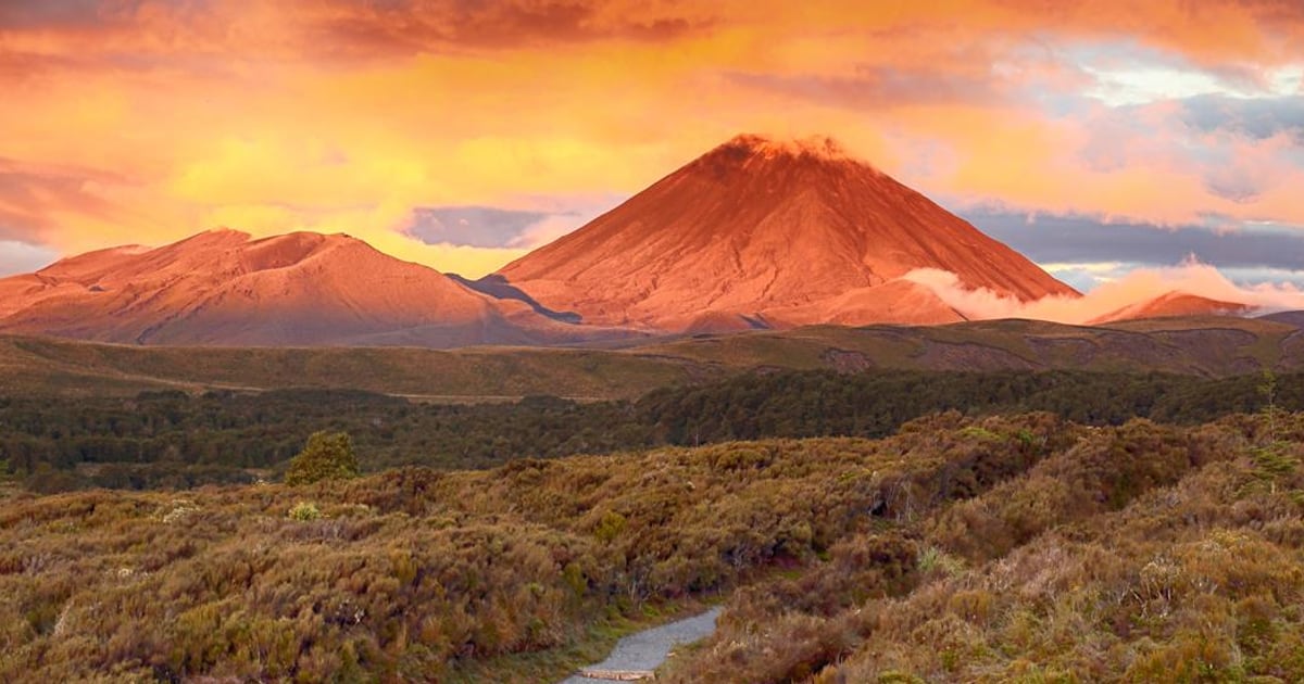 The Crossing Lodge and Backpackers — Accommodation in National Park Village