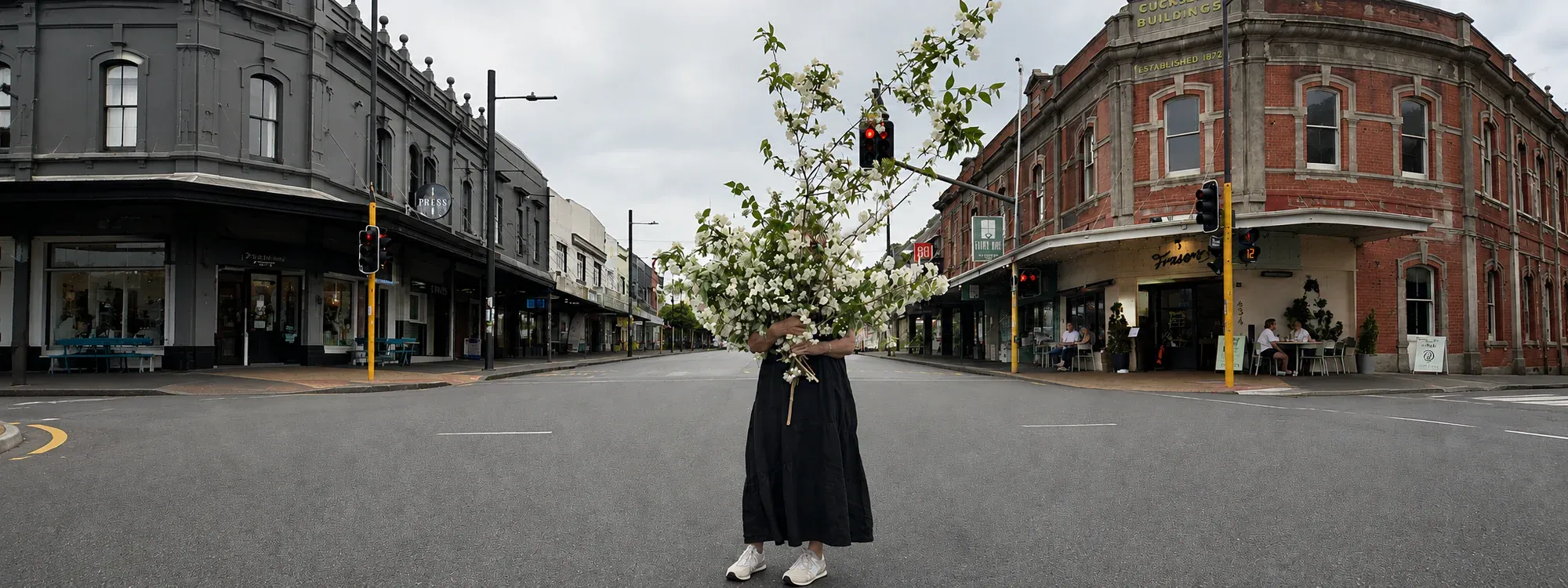 Roses — Florists in Auckland