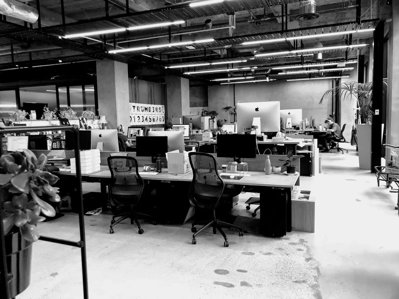 Openside Digital — Digital Marketing Agencies in Wellington