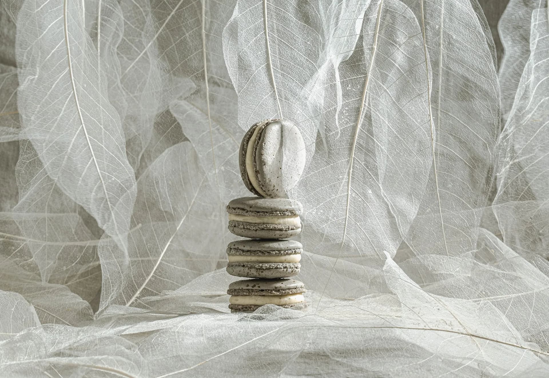 J'aime Les Macarons — Bakeries in Christchurch