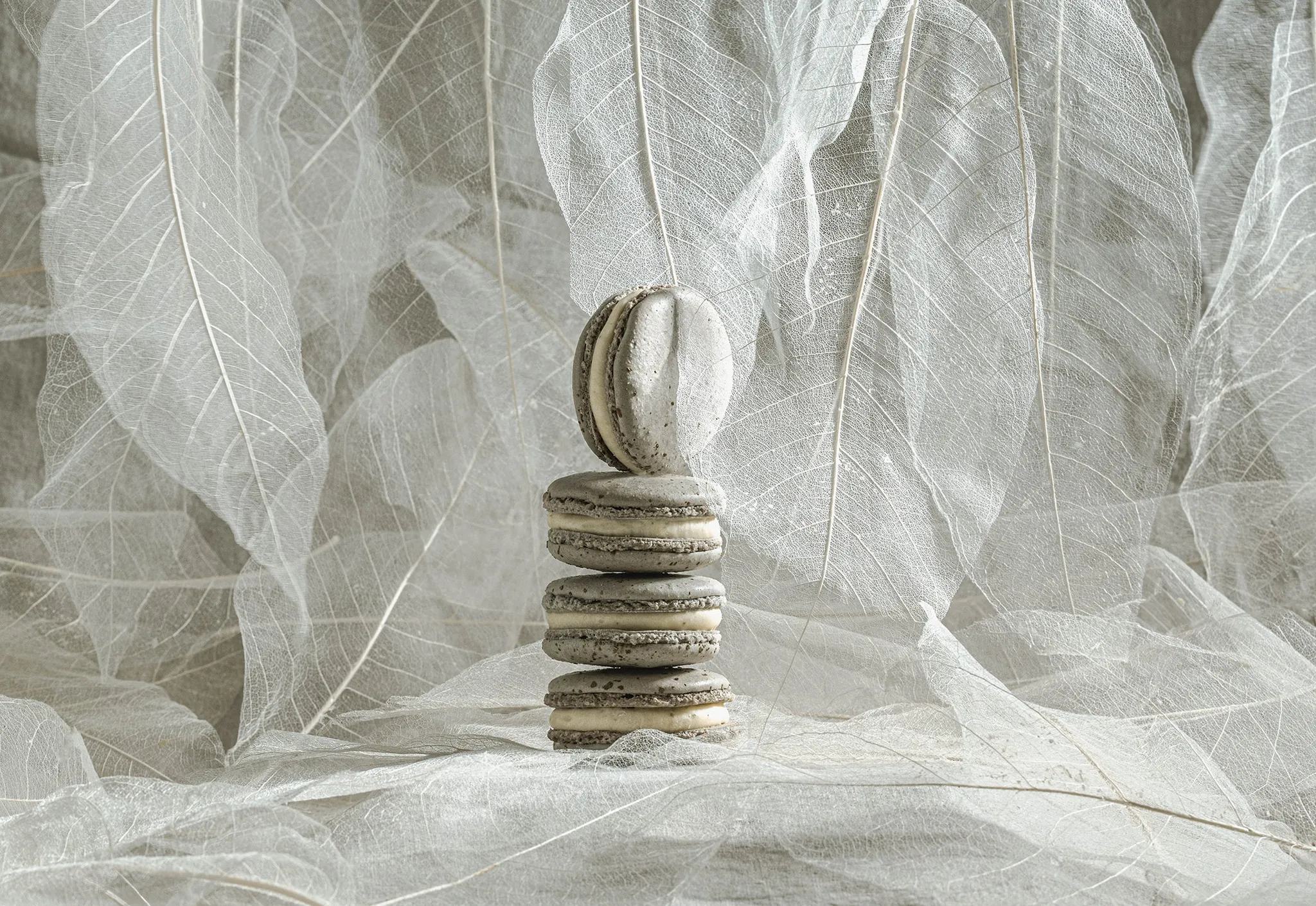 J'aime Les Macarons — Food & Beverage in Christchurch