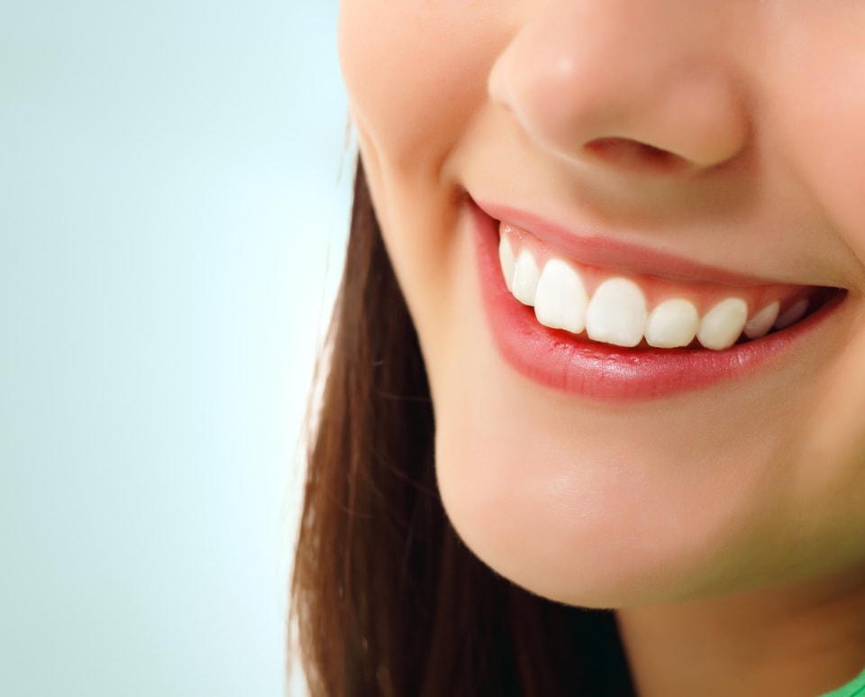 Tauranga Dental House — Dentists in Tauranga