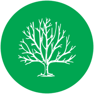 Armes Tree Solutions