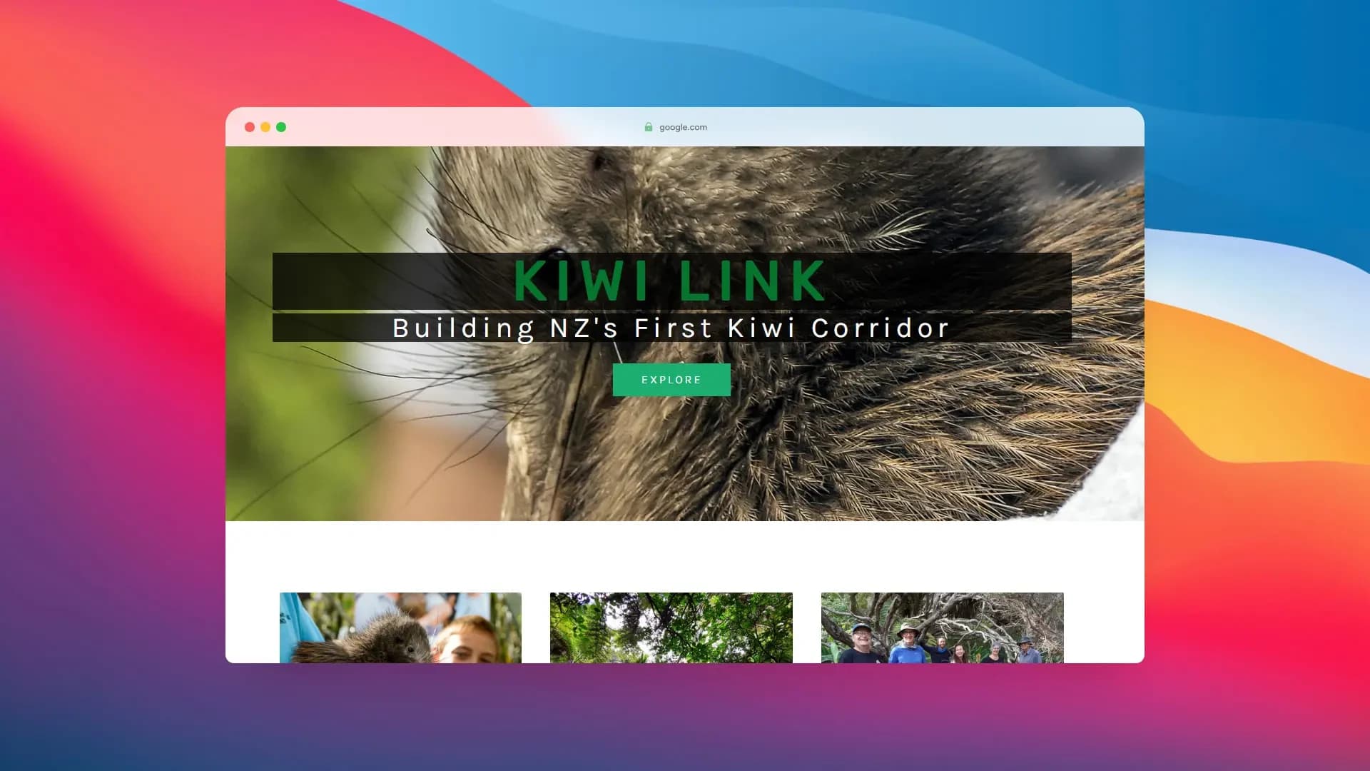 Kiwi Web Works Ltd — Website Designers in Rolleston