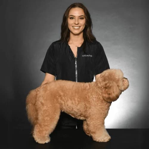 Paws on Point