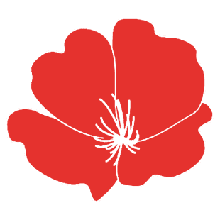 Poppies Kindergarten