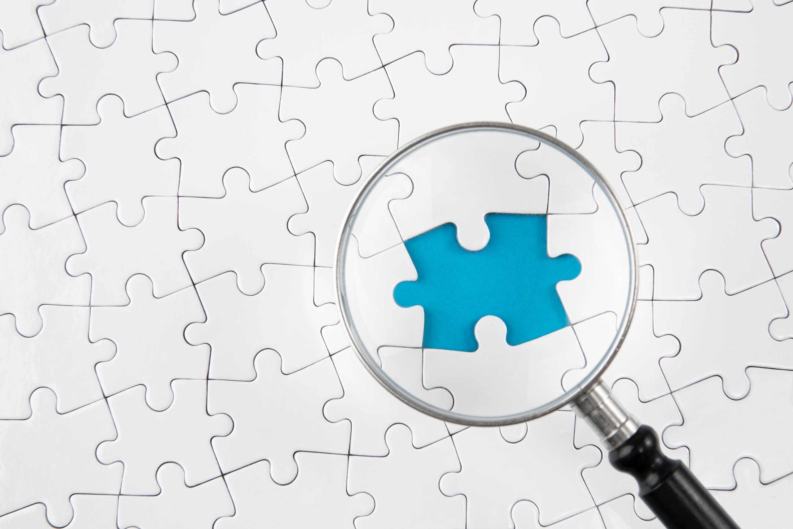 Rothley: Executive Search and Recruitment — HR & Recruitment Services in Wellington