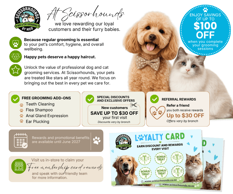 Studio Hound - dog grooming — Dog Groomers in Albert-Eden