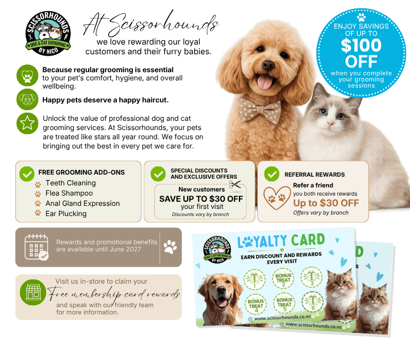 Studio Hound - dog grooming — Dog Groomers in Albert-Eden