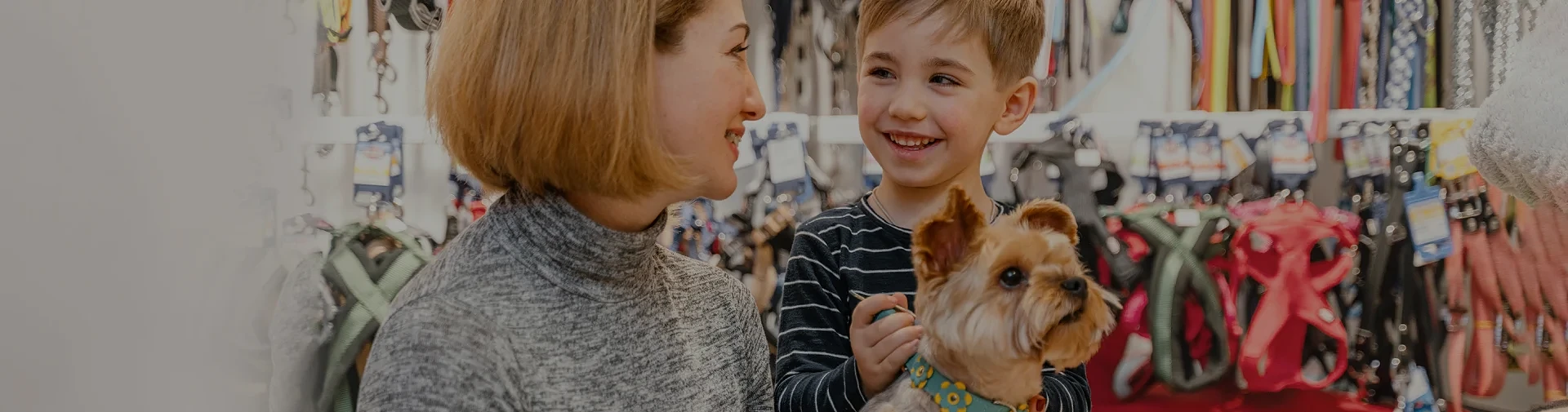 Pet Central — Pet Stores in Christchurch