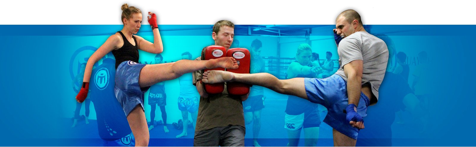 Muay Thai Institute — Gyms in Wellington