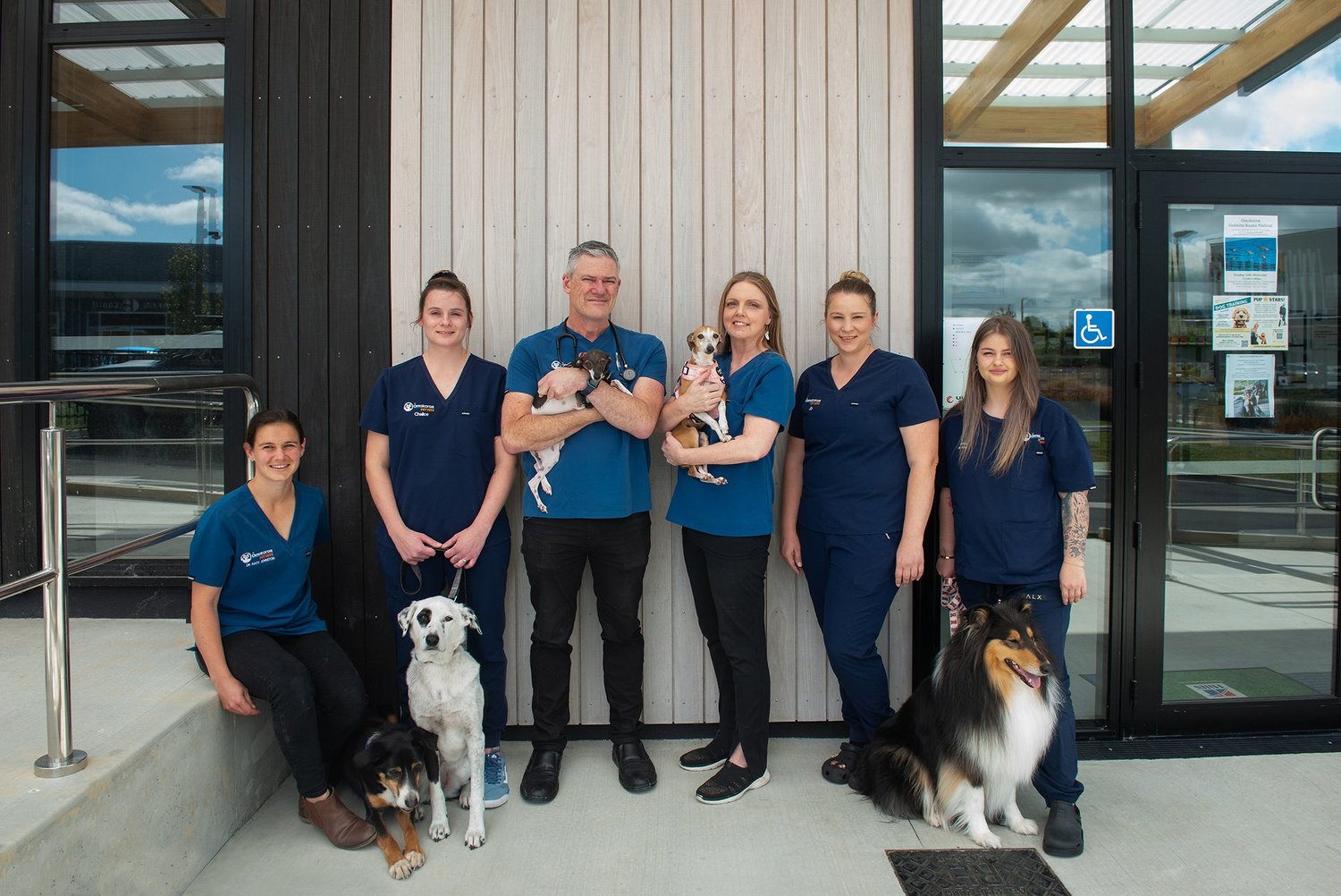 Omokoroa Pet Vets — Vets in Tauranga