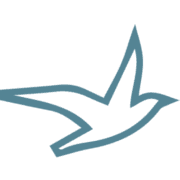 UVISA Immigration