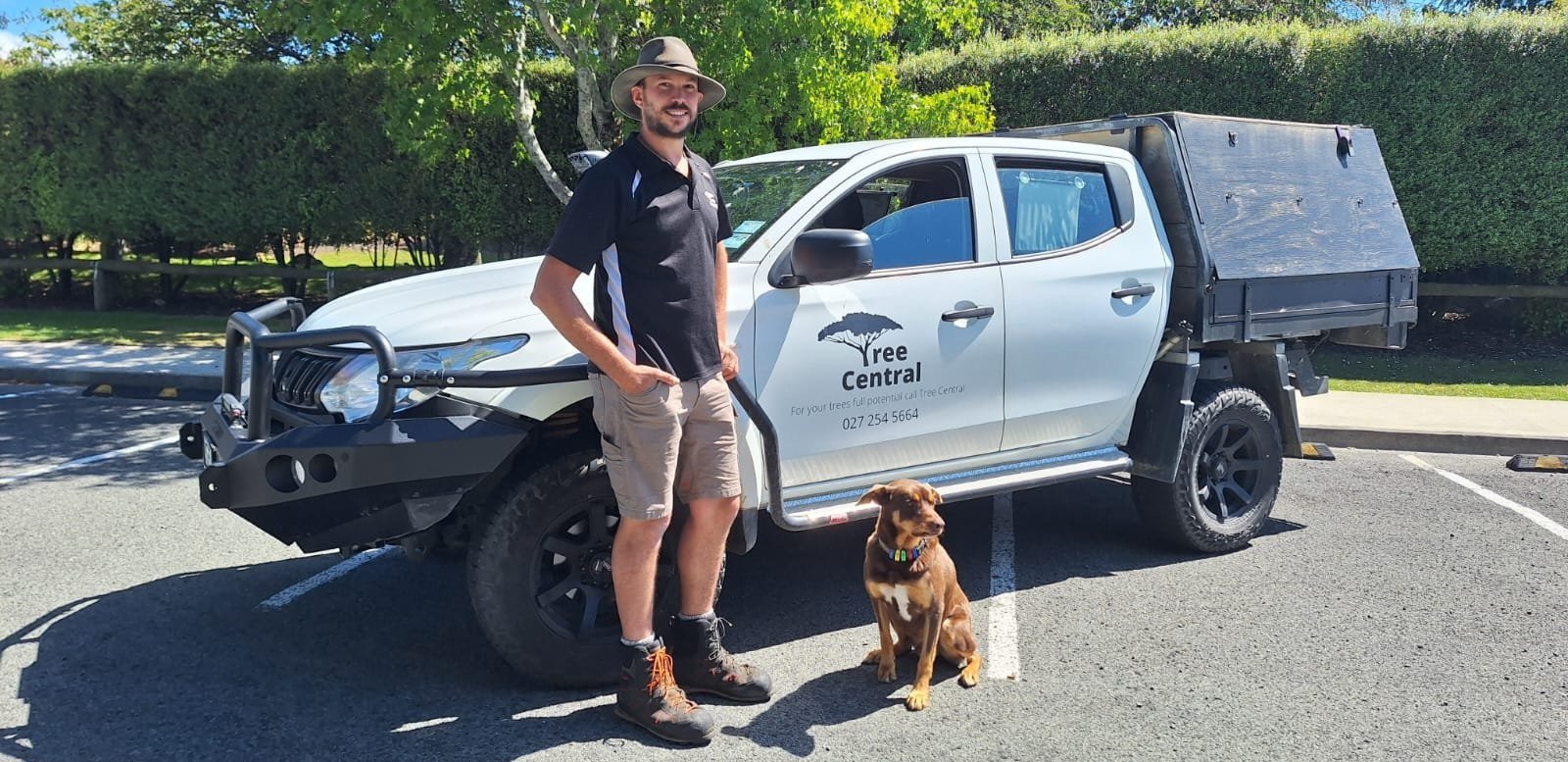 Tree Central — Arborists in Motueka
