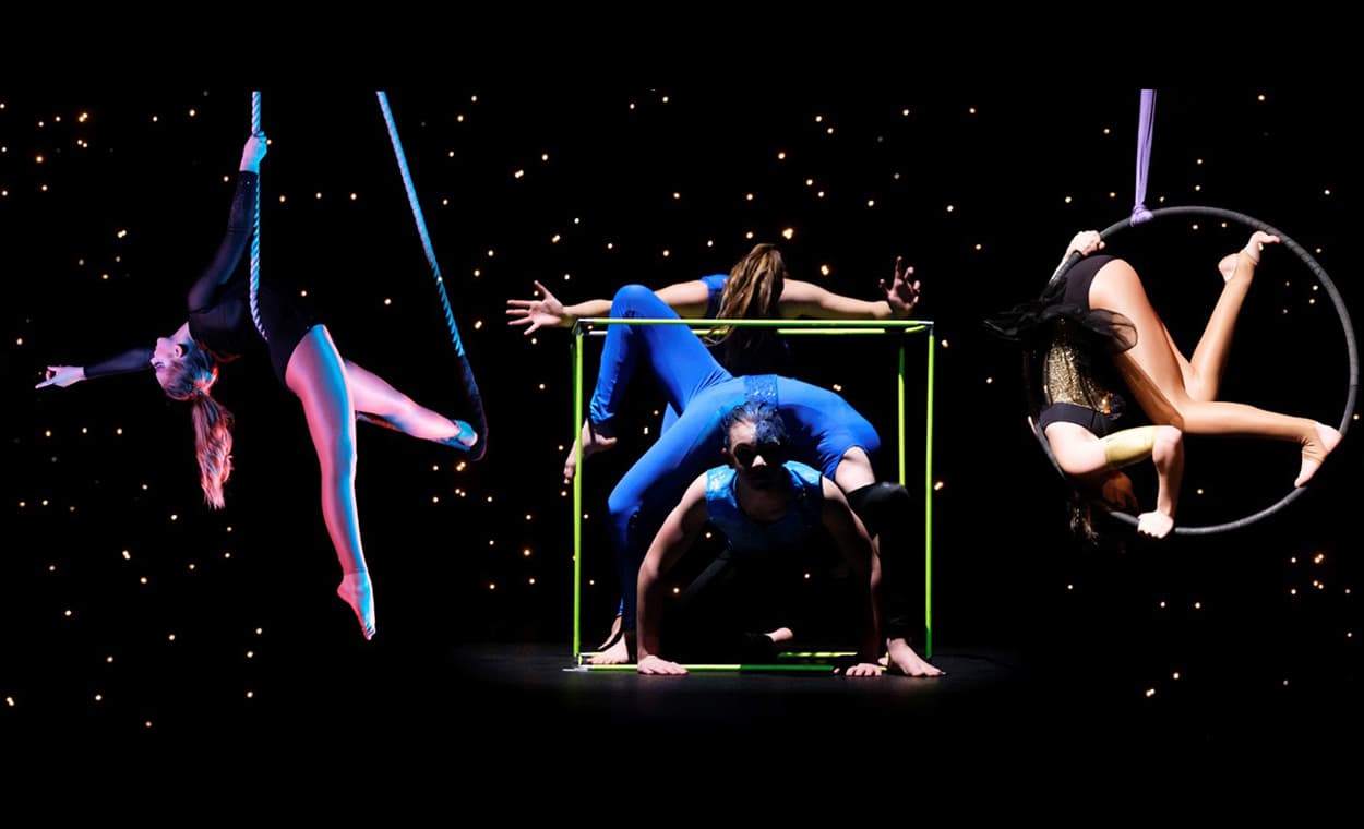 flip n fly - circus school — Gyms in Auckland