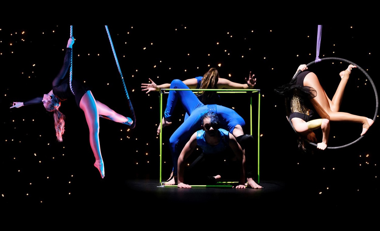 flip n fly - circus school — Gyms in Auckland