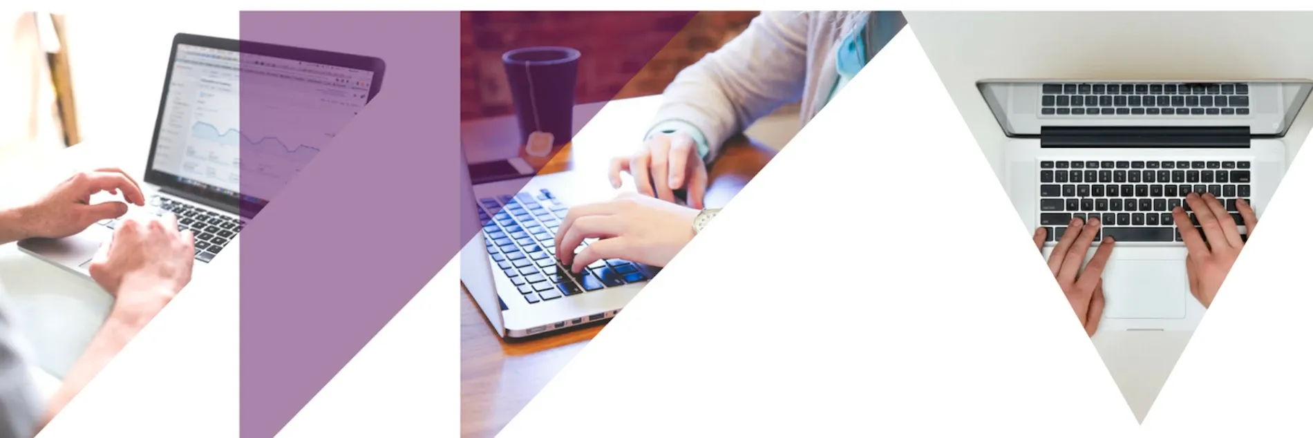 Expert Developments Limited — Website Designers in Wellington