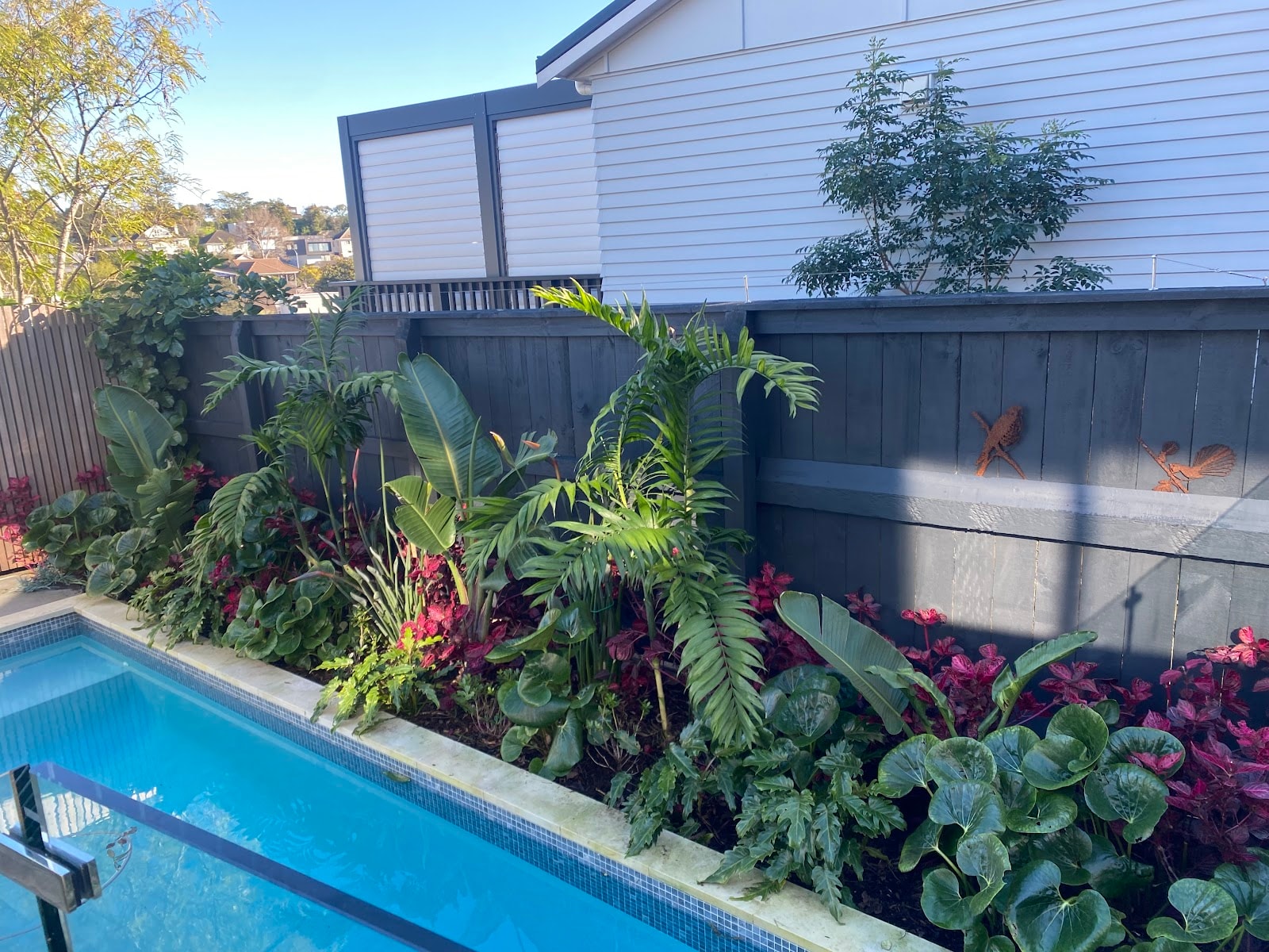 Farmer's Daughter Gardeners — Gardening Services in Auckland
