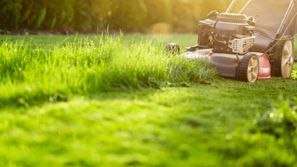 Am Hire ( Advanced Machinery ) Ltd — Equipment Suppliers in Porirua
