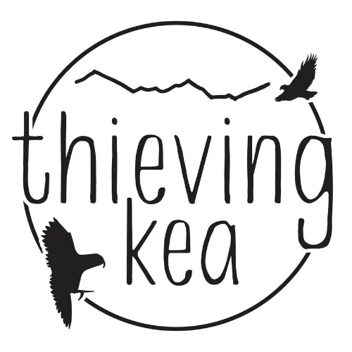 Thieving Kea