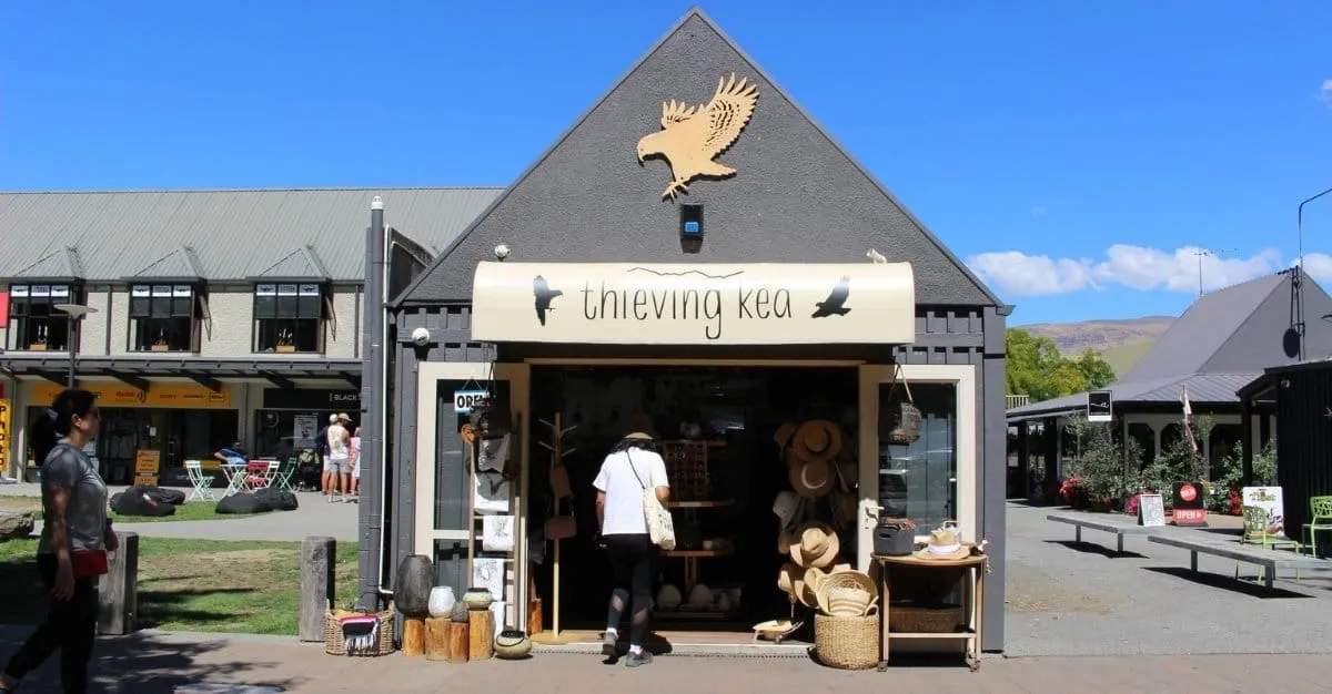 Thieving Kea — Gift Shops in Wānaka