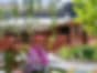 Lake Roxburgh Lodge — Accommodation in Lake Roxburgh