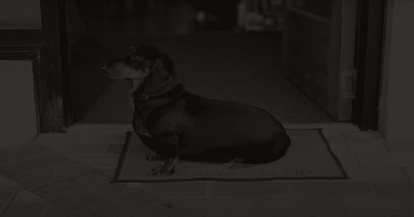 The Dog Box Barber Shop — Hair Salons in Christchurch