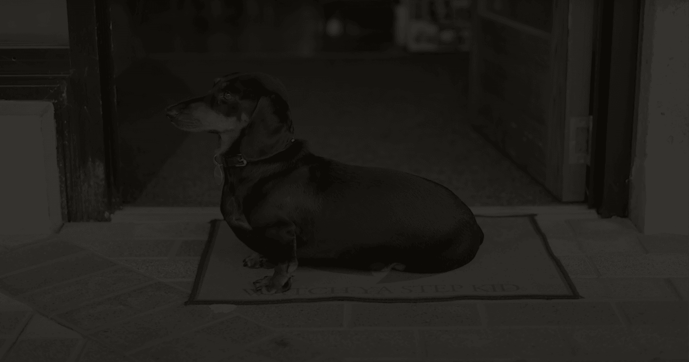 The Dog Box Barber Shop — Hair Salons in Christchurch
