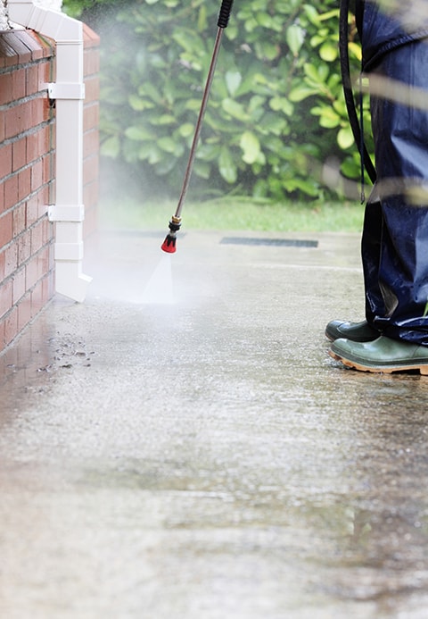 Swift Wash — Professional Services in Dunedin