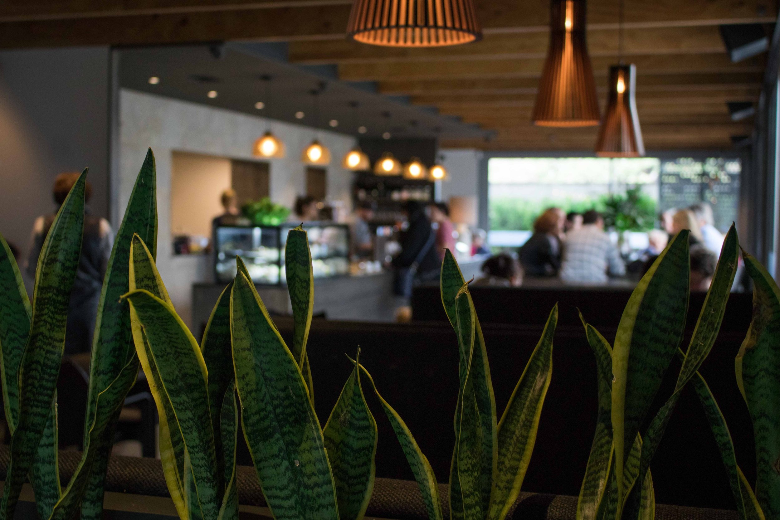 Bellbird Eatery — Café in Lower Hutt